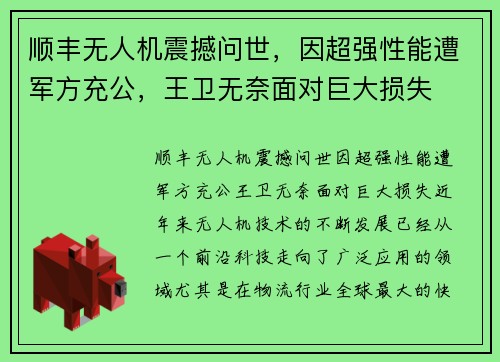 顺丰无人机震撼问世，因超强性能遭军方充公，王卫无奈面对巨大损失