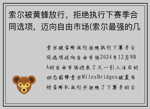 索尔被黄蜂放行，拒绝执行下赛季合同选项，迈向自由市场(索尔最强的几个状态)